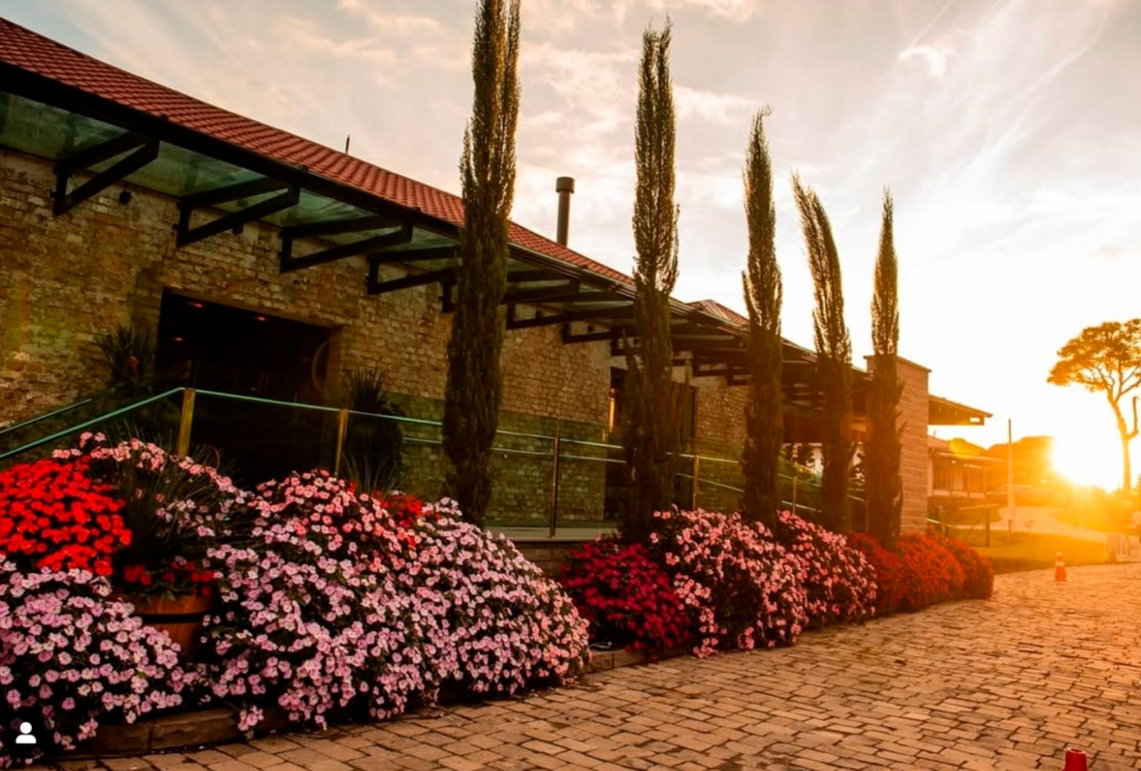 01_0005_WhatsApp Image 2025-09-18 at 09.27.03